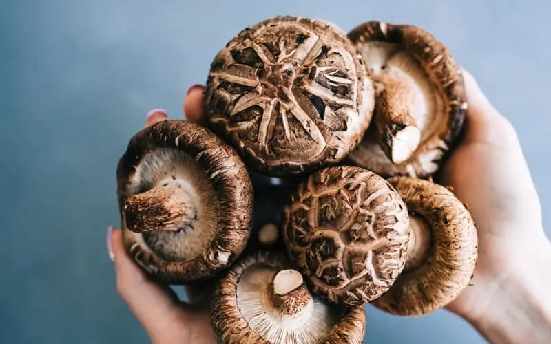 بهترین قرص درمان زگیل تناسلی برای آقایان